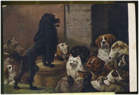 لوحة بعنوان Dogs Parliament - المصدر: من الانترنت - لا أعرف اسم الرّسّام